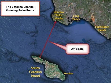 catalina channel swim distance.